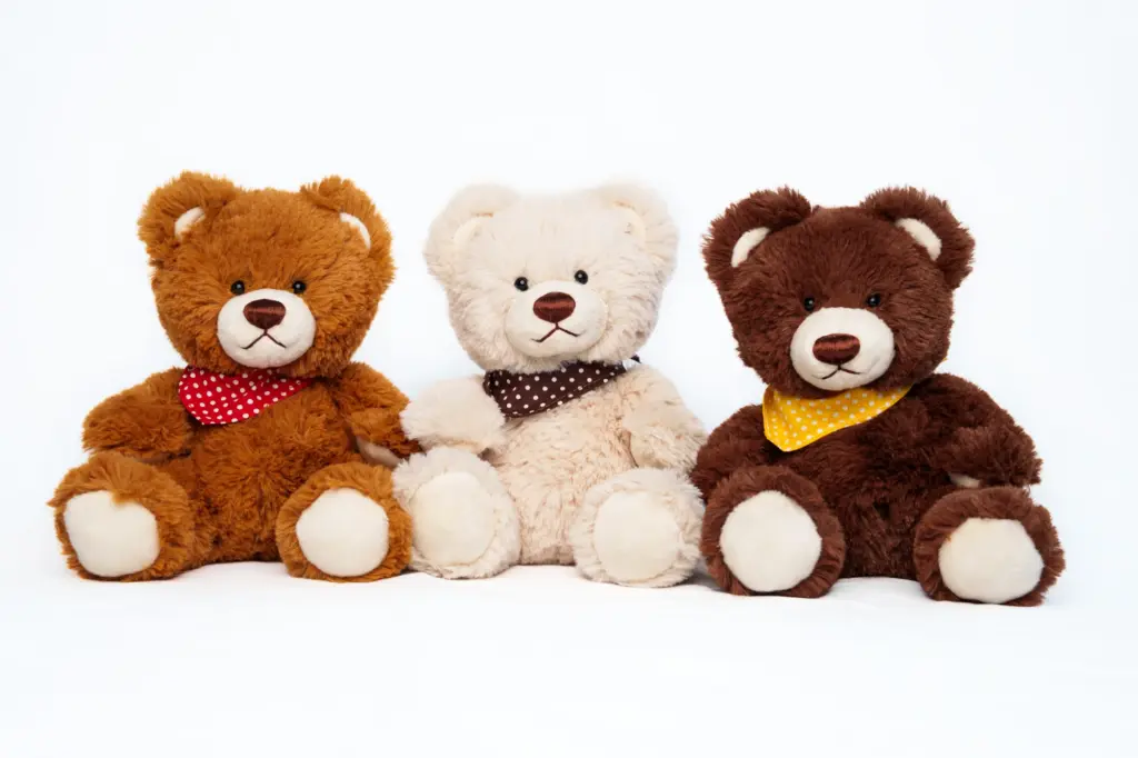 88.508.020 Teddy Levi