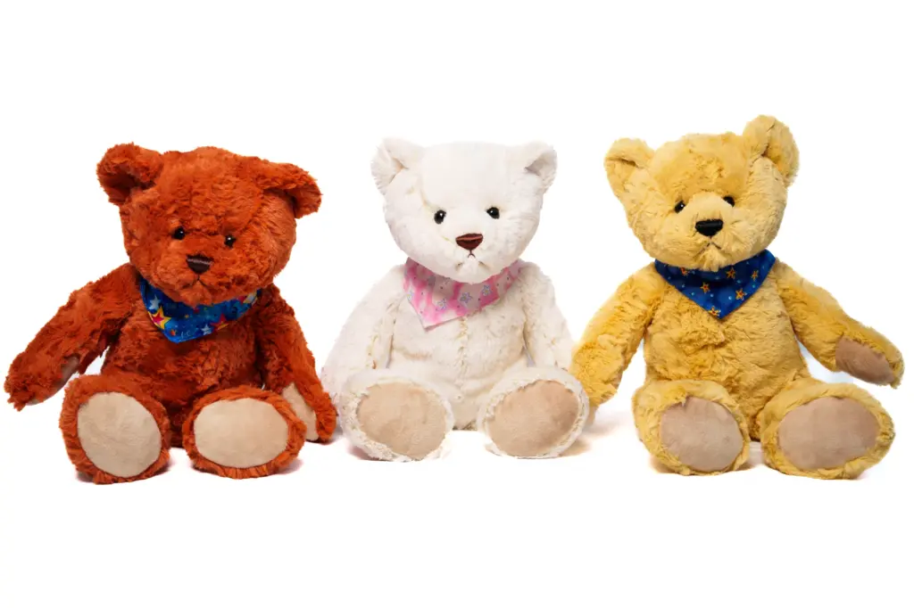 88.509.038 Teddy Jari